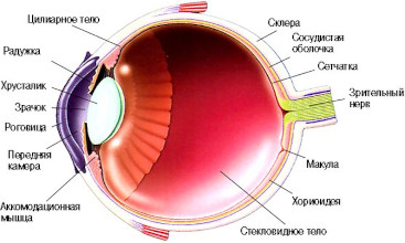 Лечение заболеваний сетчатки  в Prime Clinic